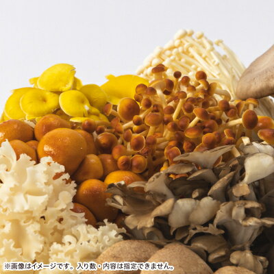 【ふるさと納税】キノコでカラダを整える!新鮮おいしいきのこセット大(10種以上を13パック以上お届け!)_ きのこ キノコ セット 詰合せ 食べ比べ 長野県産 国産 えのき しめじ エリンギ 舞茸 なめこ 椎茸 産地直送 まいたけ 【配送不可地域：離島】【1330948】 - 画像3
