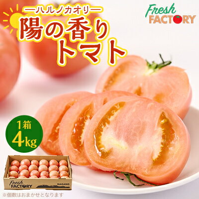 『陽の香り』トマト4kg箱満杯詰め　長野の自然が育てた恵　(個数おまかせ)【1342500】