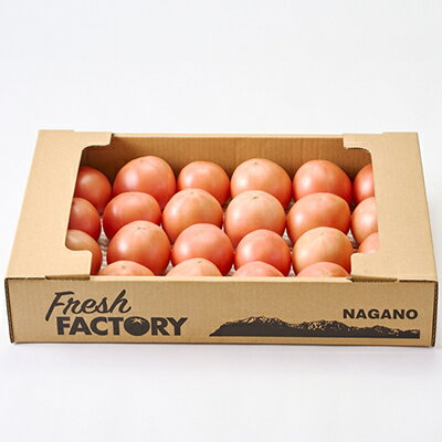 【ふるさと納税】『陽の香り』トマト4kg箱満杯詰め　長野の自然が育てた恵　(個数おまかせ)【1342500】 - 画像3