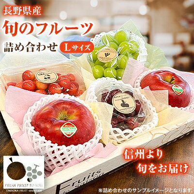 「産地より信州中野の旬をお届け♪」 高丘フルーツの長野県産「旬のフルーツ詰め合わせ」(Lサイズ)【配送不可地域：離島】【1408642】