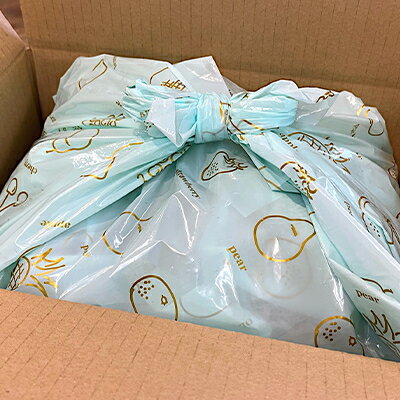 【ふるさと納税】「産地より信州中野の旬をお届け♪」 高丘フルーツの長野県産「旬のフルーツ詰め合わせ」(Lサイズ)【配送不可地域：離島】【1408642】 サムネイル3