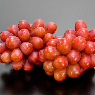 【ふるさと納税】【2026年発送】JA中野市産地直送!クイーンルージュ(R)大房620g以上×2房(1.2kg以上)_ ブドウ 葡萄 フルーツ 果物 くだもの 人気 美味しい ふるさと 中野市 ギフト プレゼント 贈り物 【配送不可地域：離島】【1478916】 - 画像2