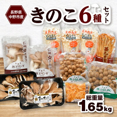 JA中野市産地直送!6種11パック入りきのこセット【中野市特産きのこセットできのこ食を習慣に】_ きのこ キノコ セット 詰合せ 食べ比べ 長野県産 国産 えのき しめじ エリンギ 舞茸 なめこ まいたけ 産地直送 【配送不可地域：離島】【1487473】