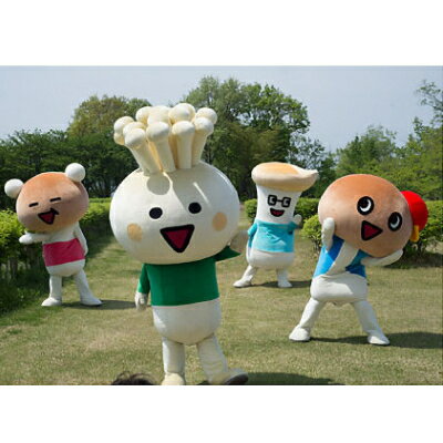 【ふるさと納税】JA中野市産地直送!6種11パック入りきのこセット【中野市特産きのこセットできのこ食を習慣に】_ きのこ キノコ セット 詰合せ 食べ比べ 長野県産 国産 えのき しめじ エリンギ 舞茸 なめこ まいたけ 産地直送 【配送不可地域：離島】【1487473】 - 画像3