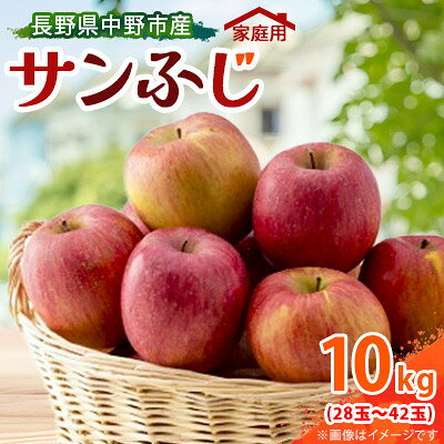 【訳あり】【先行予約】 りんご サンふじ 10kg 家庭用 長野県産_ サンフジ 訳あり わけあり ワケアリ りんご 林檎 リンゴ フルーツ 果物 ふるーつ くだもの 国産 旬 家庭用 規格外 傷 不揃い 産地直送 信州 長野 【1496268】
