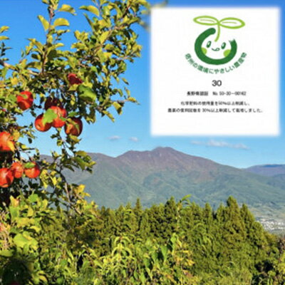 【ふるさと納税】【訳あり】【先行予約】 りんご サンふじ 10kg 家庭用 長野県産_ サンフジ 訳あり わけあり ワケアリ りんご 林檎 リンゴ フルーツ 果物 ふるーつ くだもの 国産 旬 家庭用 規格外 傷 不揃い 産地直送 信州 長野 【1496268】 - 画像2