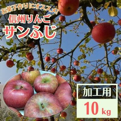 信州りんご 加工用 10kg サンふじ_ りんご ふじ サンふじ リンゴ 林檎 加工用 調理用 ジャム ジュース コンポート アップルパイ 訳あり 信州 長野県 産地直送 不揃い 傷 家庭用 自宅用 10kg 秋 冬 くだもの 果物 果実 フルーツ 送料無料 【1508406】