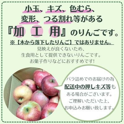 【ふるさと納税】信州りんご 加工用 10kg サンふじ_ りんご ふじ サンふじ リンゴ 林檎 加工用 調理用 ジャム ジュース コンポート アップルパイ 訳あり 信州 長野県 産地直送 不揃い 傷 家庭用 自宅用 10kg 秋 冬 くだもの 果物 果実 フルーツ 送料無料 【1508406】 - 画像2