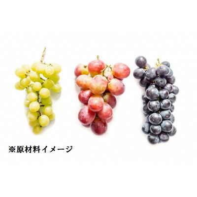 【ふるさと納税】【長野県産】ジュエリーグレープ〔3パック〕〔高級ぶどう3種使用〕〔化学合成添加物・砂糖不使用〕【1519542】 サムネイル3