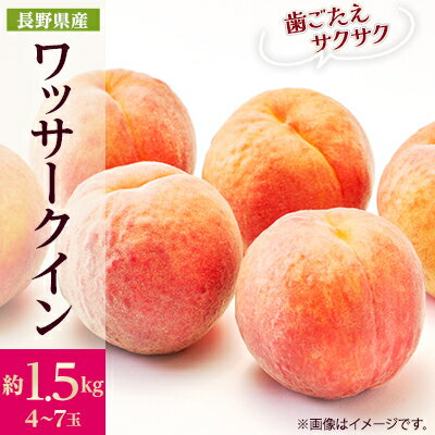 【2026年発送】フルーツ王国　長野県信州直送　ワッサークイン　約1.5kg(4～7玉)　_ 桃 もも 果物 フルーツ くだもの ワッサークイン ネクタリン 硬い 贈答 ギフト プレゼント 信州 長野 送料無料 人気 産地直送 おすすめ 【配送不可地域：離島】【1530500】