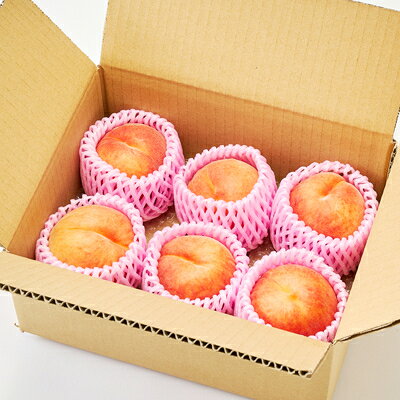 【ふるさと納税】【2026年発送】フルーツ王国　長野県信州直送　ワッサークイン　約1.5kg(4～7玉)　_ 桃 もも 果物 フルーツ くだもの ワッサークイン ネクタリン 硬い 贈答 ギフト プレゼント 信州 長野 送料無料 人気 産地直送 おすすめ 【配送不可地域：離島】【1530500】 サムネイル3