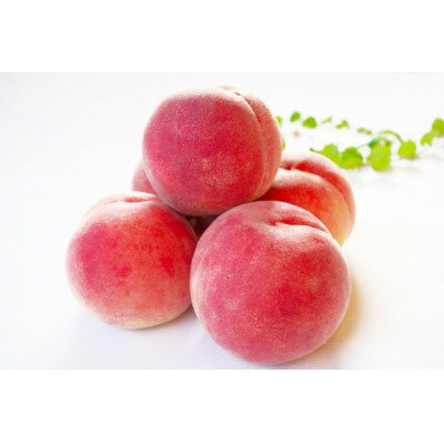 【2026年発送】フルーツ王国　長野県信州直送　桃　川中島白鳳　約5kg(13～16玉)_ 桃 もも 果物 フルーツ くだもの 白鳳 川中島白鳳 贈答 ギフト プレゼント 信州 長野 送料無料 人気 産地直送 おすすめ 【配送不可地域：離島】【1530530】