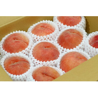 【ふるさと納税】【2026年発送】フルーツ王国　長野県信州直送　桃　川中島白鳳　約5kg(13～16玉)_ 桃 もも 果物 フルーツ くだもの 白鳳 川中島白鳳 贈答 ギフト プレゼント 信州 長野 送料無料 人気 産地直送 おすすめ 【配送不可地域：離島】【1530530】 サムネイル3