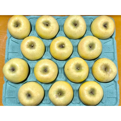 【ふるさと納税】シャキシャキ!サクサク!シナノゴールド 約5kg【1539933】 サムネイル2