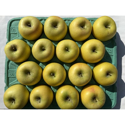 【ふるさと納税】シャキシャキ!サクサク!シナノゴールド 約5kg【1539933】 サムネイル3