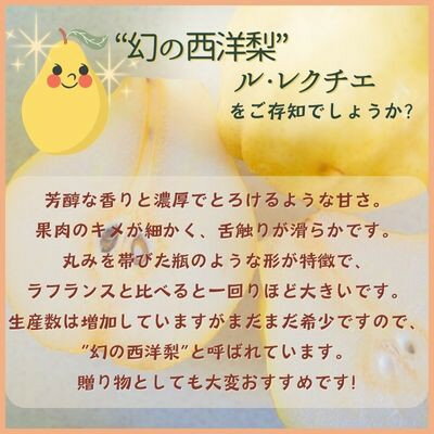 【ふるさと納税】西洋梨　ル・レクチェ　2kg【1540508】 サムネイル2
