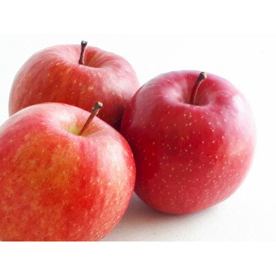 【2026年発送】フルーツ王国　長野県産 りんご　サンつがる 約5kg(10～18玉程度)【1541895】