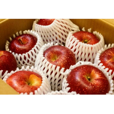 【2026年発送】フルーツ王国　長野県産 りんご　紅玉(こうぎょく)　約10kg(20～30玉程度)【1541926】