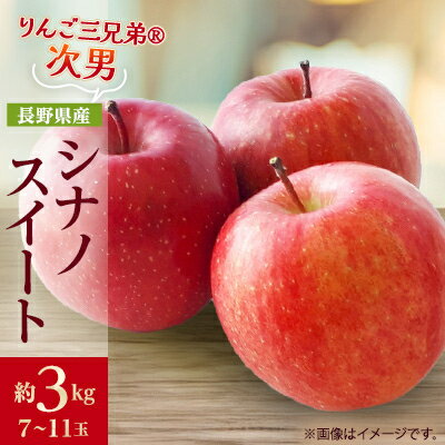 【2025年発送】フルーツ王国　長野県産 りんご　シナノスイート　約3kg(7～11玉程度)_ りんご 林檎 果物 くだもの フルーツ シナノスイート 長野県 産地直送 送料無料 お取り寄せ ギフト 贈答 プレゼント 信州 【1541938】