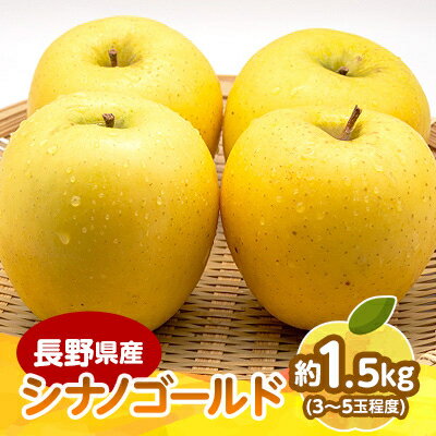 【2025年発送】　長野県産 りんご　シナノゴールド　約1.5kg(3～5玉程度)_ りんご 林檎 果物 くだもの フルーツ シナノゴールド 長野県 産地直送 送料無料 お取り寄せ ギフト 贈答 プレゼント 信州 【1541949】