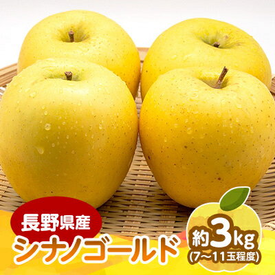 【2025年発送】　長野県産 りんご　シナノゴールド　約3kg(7～11玉程度)_ りんご 林檎 フルーツ 果物 くだもの シナノゴールド 贈答 ギフト 人気 おすすめ 送料無料 お取り寄せ 長野県 信州 【1541951】