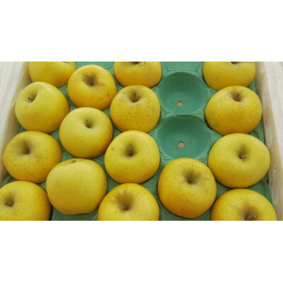 【ふるさと納税】【2025年発送】　長野県産 りんご　シナノゴールド　約3kg(7～11玉程度)_ りんご 林檎 フルーツ 果物 くだもの シナノゴールド 贈答 ギフト 人気 おすすめ 送料無料 お取り寄せ 長野県 信州 【1541951】 サムネイル2