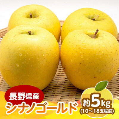 【2025年発送】　長野県産 りんご　シナノゴールド　約5kg(10～18玉程度)_ りんご リンゴ 林檎 シナノゴールド シナノ しなの ごーるど 黄色 長野県 産地直送 約5kg 秋 冬 くだもの 果物 フルーツ 送料無料 【1541953】
