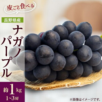 【2026年先行予約】フルーツ王国信州産地直送　皮ごと食べられるナガノパープル　約1kg(1～3房)_ ナガノパープル ぶどう 葡萄 果物 フルーツ くだもの 贈答 ギフト プレゼント 信州 長野 送料無料 人気 産地直送 【配送不可地域：離島】【1541964】
