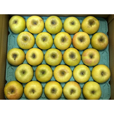 【ふるさと納税】シャキシャキ!サクサク!小玉 食べきりサイズ!シナノゴールド 約5kg【1550104】 サムネイル2