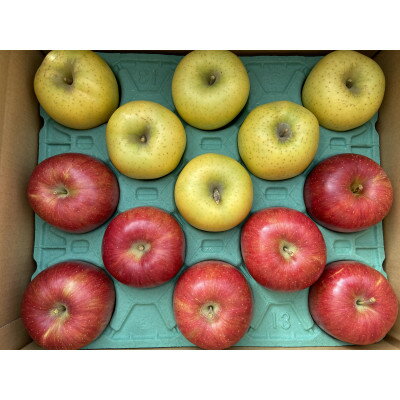 【ふるさと納税】シナノスイート、シナノゴールド詰合せ 約5kg【1551867】 サムネイル2