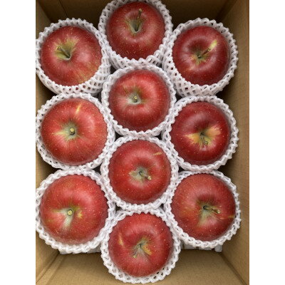 【ふるさと納税】シャキシャキッ!完熟サンふじ 贈答用 約3kg【1558027】 サムネイル2