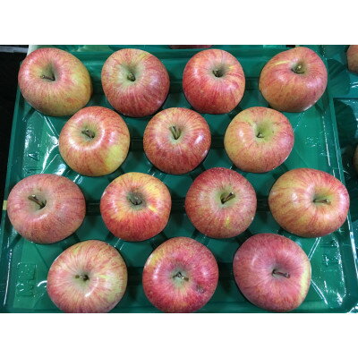 【ふるさと納税】シャキシャキッ!サンふじ 家庭用 約10kg【1558490】 サムネイル2