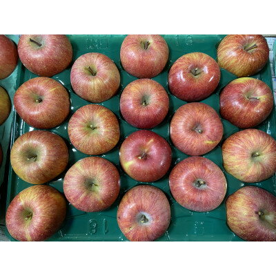 【ふるさと納税】シャキシャキッ!サンふじ 家庭用 約10kg【1558490】 サムネイル3