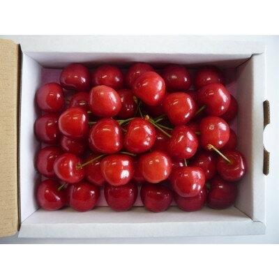 【ふるさと納税】【2026年発送】産地直送　信州中野産　さくらんぼ　紅秀峰　 ハート箱　約300g【配送不可地域：離島】【1569844】 サムネイル2