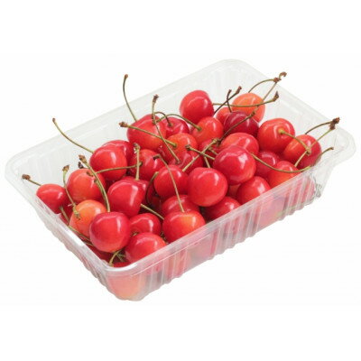 【ふるさと納税】【2026年発送】フルーツ王国　信州中野産　さくらんぼ　香夏錦　約400g(約200g×2パック)【配送不可地域：離島】【1569878】 サムネイル3