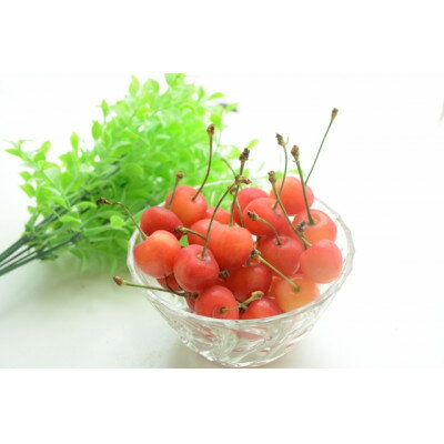 【ふるさと納税】【2026年発送】フルーツ王国　信州中野産　さくらんぼ　高砂　約2kg(約200g×10パック)【配送不可地域：離島】【1570390】 サムネイル2