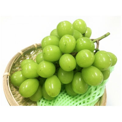 【2025年先行予約】　フルーツ王国信州産地直送　シャインマスカット　約1kg(1～3房)【配送不可地域：離島】【1573055】