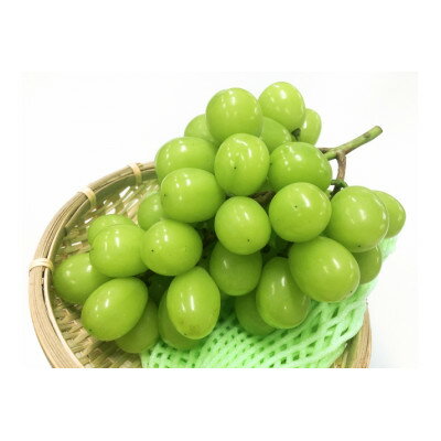 【2025年先行予約】フルーツ王国信州産地直送　シャインマスカット　約10kg(10～17房)【配送不可地域：離島】【1573074】