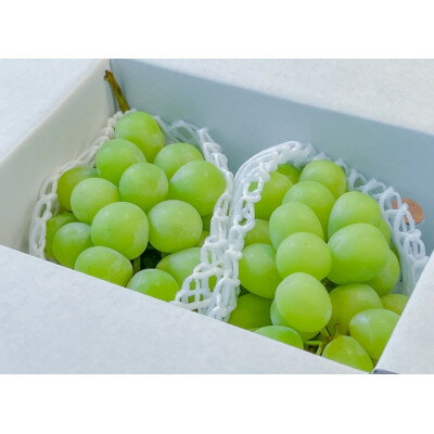 【ふるさと納税】【2025年先行予約】フルーツ王国信州産地直送　シャインマスカット　約10kg(10～17房)【配送不可地域：離島】【1573074】 サムネイル2