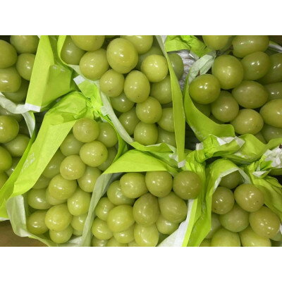 【ふるさと納税】【2025年先行予約】フルーツ王国信州産地直送　シャインマスカット　約10kg(10～17房)【配送不可地域：離島】【1573074】 サムネイル3