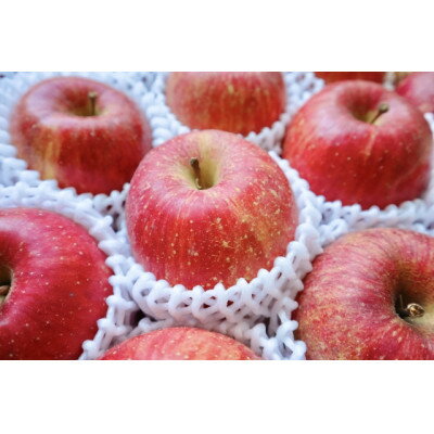 【2025年発送開始】長野県　北信州のりんご　約1.5kg(3～6玉)おまかせ1品種　贈答におすすめ【1575291】