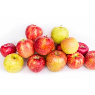 【2025年発送】長野県　北信州のりんご　約2kg(4～8玉)おまかせ2品種　贈答におすすめ【1575325】