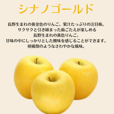 【ふるさと納税】【訳あり】産地直送　信州りんご(サンふじ+シナノゴールド)2kg (ご家庭用)【1575856】 サムネイル2