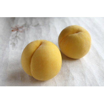 【2026年発送】フルーツ王国　長野県信州直送　黄金桃　約3kg(8～12玉)【配送不可地域：離島】【1576211】