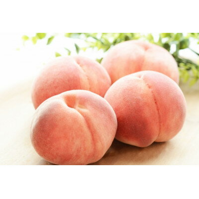 【2026年発送】フルーツ王国　長野県信州直送　白桃　約1.5kg(3～7玉)【配送不可地域：離島】【1576251】