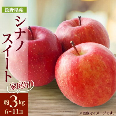 家庭用【2025年発送】長野県産 りんご　シナノスイート　約3kg(6～11玉)_ りんご 林檎 果物 フルーツ くだもの 人気 おすすめ 送料無料 産地直送 長野 信州 シナノスイート 【1576278】