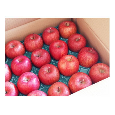 【ふるさと納税】家庭用【2025年発送】長野県産 りんご　秋映(あきばえ)　約3kg(6～11玉)【1576295】 サムネイル2