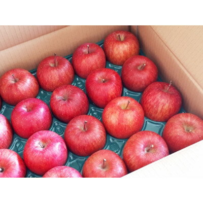 【ふるさと納税】家庭用【2026年発送】長野県産 りんご　秋映(あきばえ)　約10kg(18～30玉)【1576309】 サムネイル2