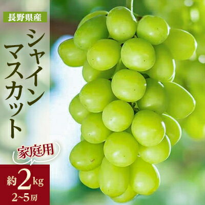 家庭用【2025年先行予約】フルーツ王国信州産地直送　シャインマスカット　約2kg(2～5房)_ シャインマスカット ぶどう 葡萄 果物 くだもの フルーツ 人気 おすすめ 送料無料 産地直送 家庭用 長野 信州 【配送不可地域：離島】【1576728】