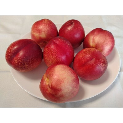 【ふるさと納税】【2026年発送】長野県　信州直送　ネクタリン　約1.5kg(4～7玉)_ 桃 もも 果物 フルーツ くだもの 人気 おすすめ 送料無料 産地直送 長野 信州 ネクタリン 【配送不可地域：離島】【1576780】 サムネイル2